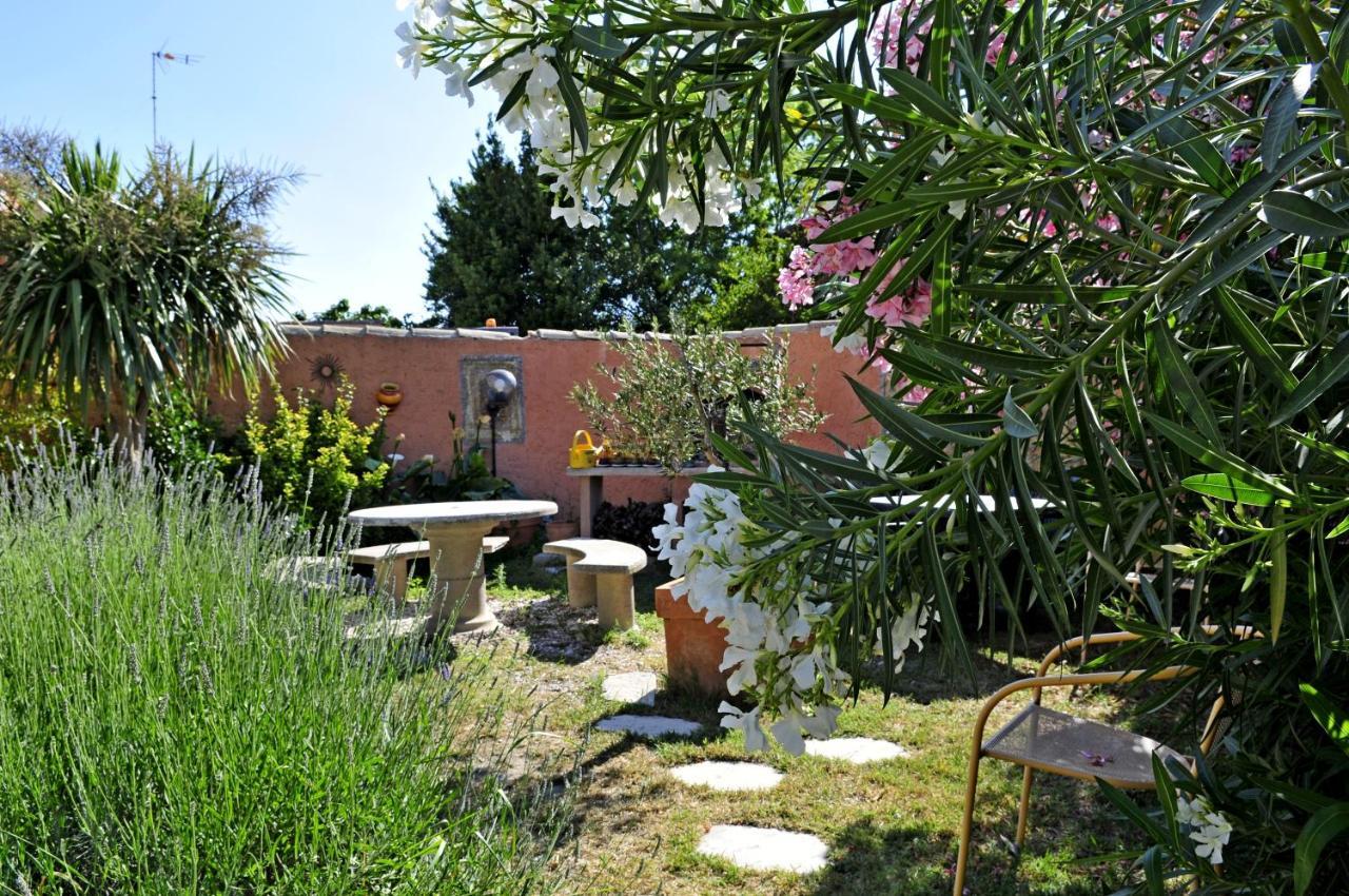 Maison Des Croisades Aigues-Mortes Exteriér fotografie